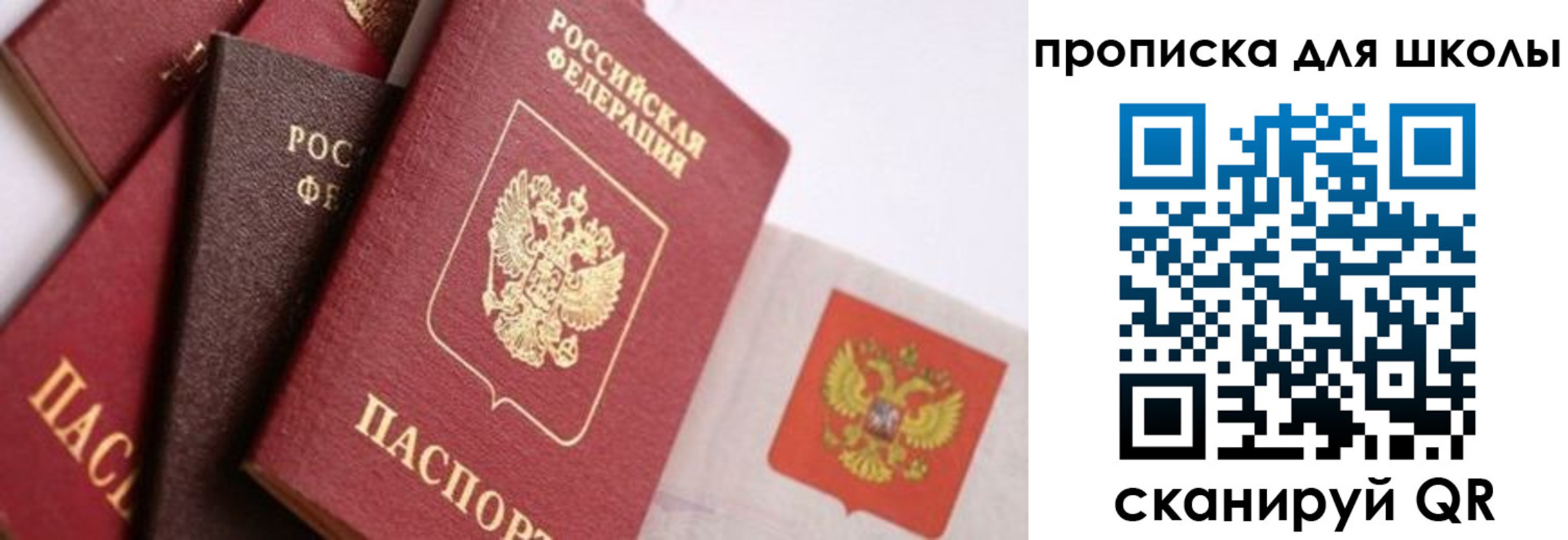 прописка поиск в Михайловске